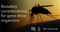 ISBR WEBINAR - 4, June 2026